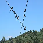 Apartment Petros Giatras - Zakynthos Town